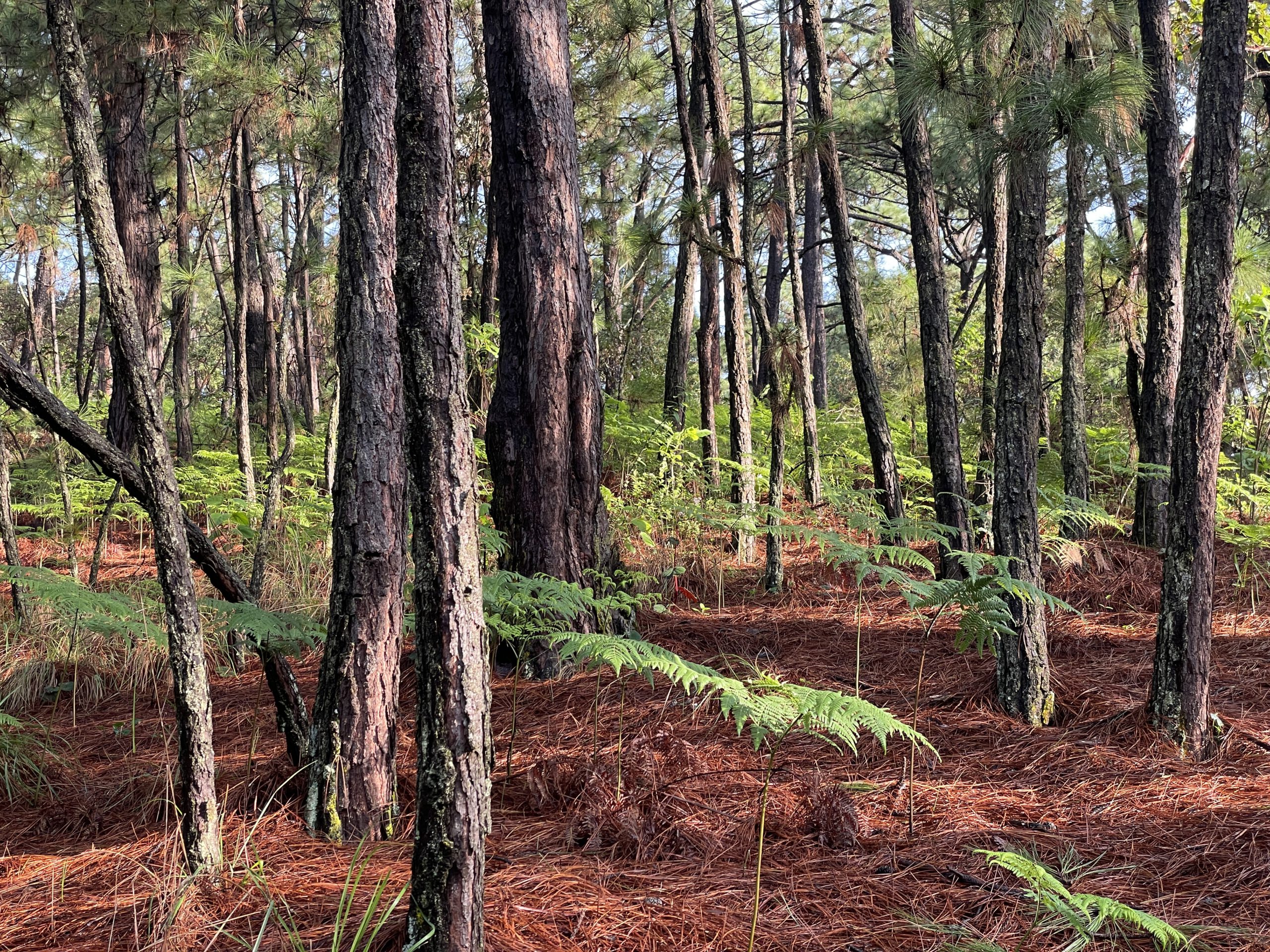 Raum und Zeit zum Denken